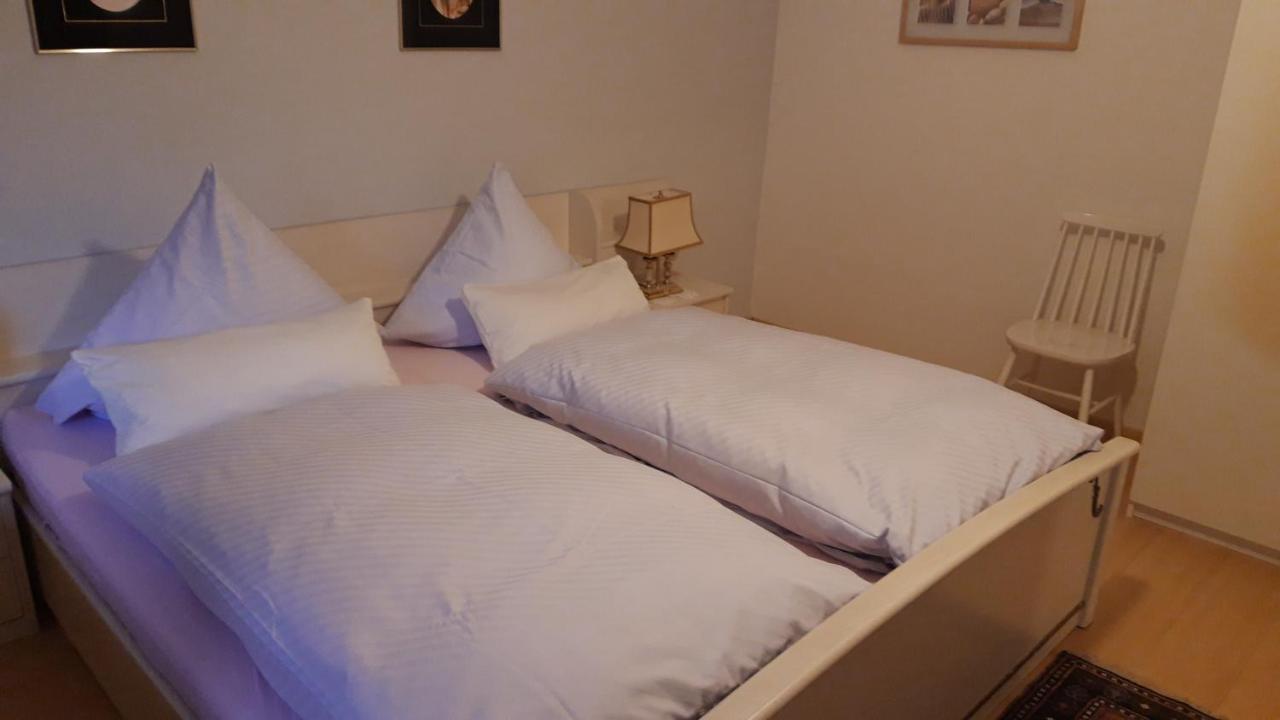 Ferienwohnung Neckarblick Heidelberg Extérieur photo