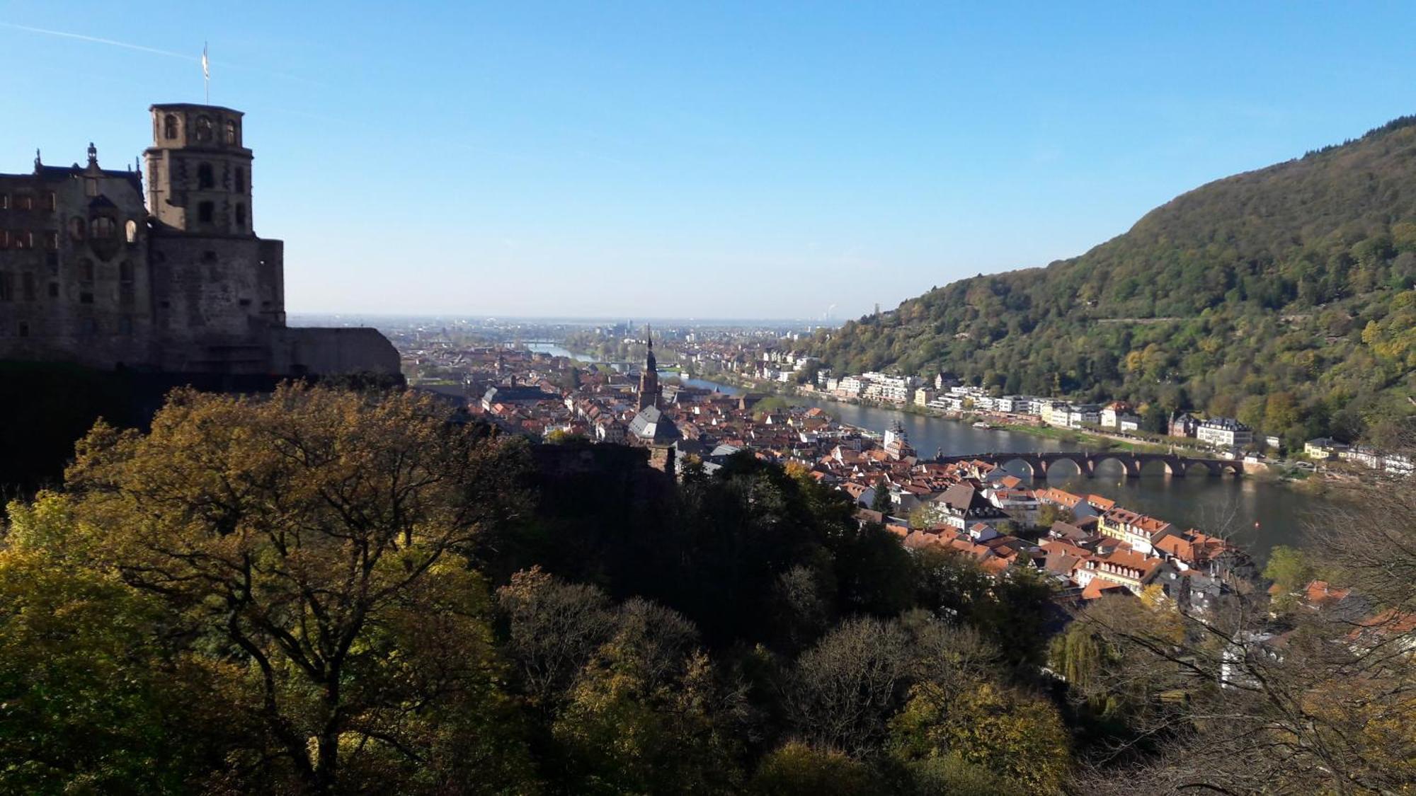 Ferienwohnung Neckarblick Heidelberg Extérieur photo