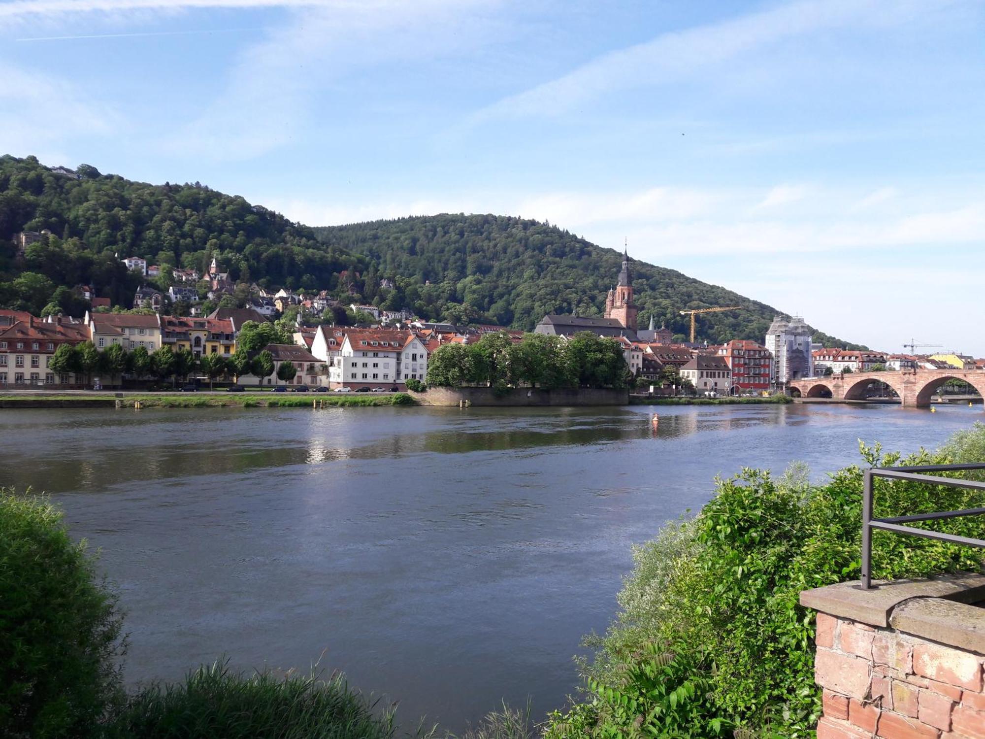 Ferienwohnung Neckarblick Heidelberg Extérieur photo