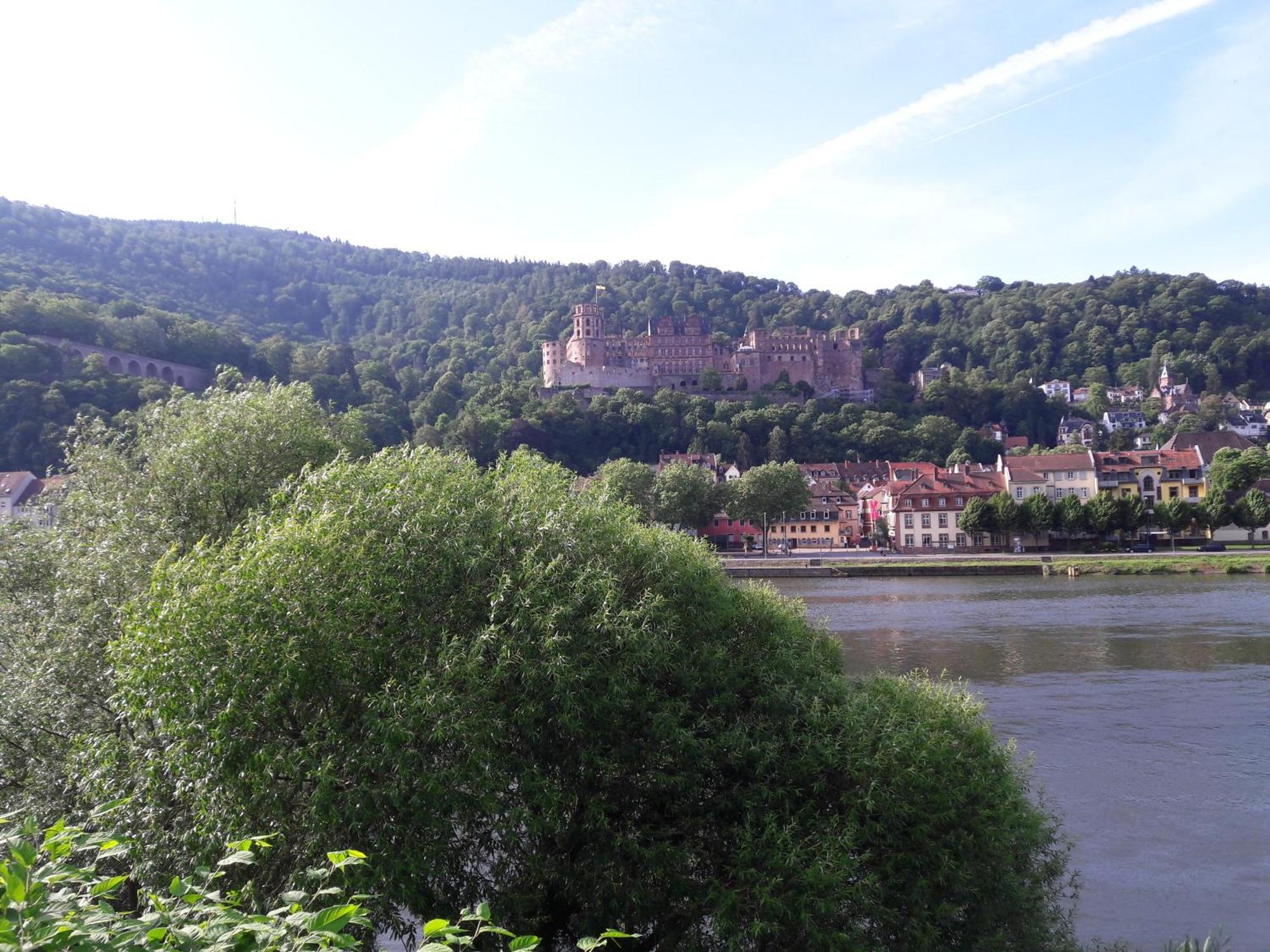 Ferienwohnung Neckarblick Heidelberg Extérieur photo